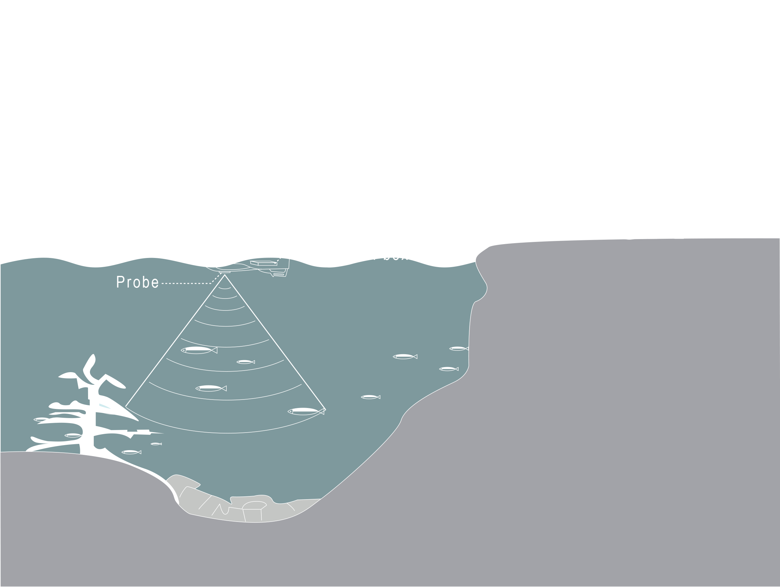 鱼饵船（Bait boat with fish finder）
