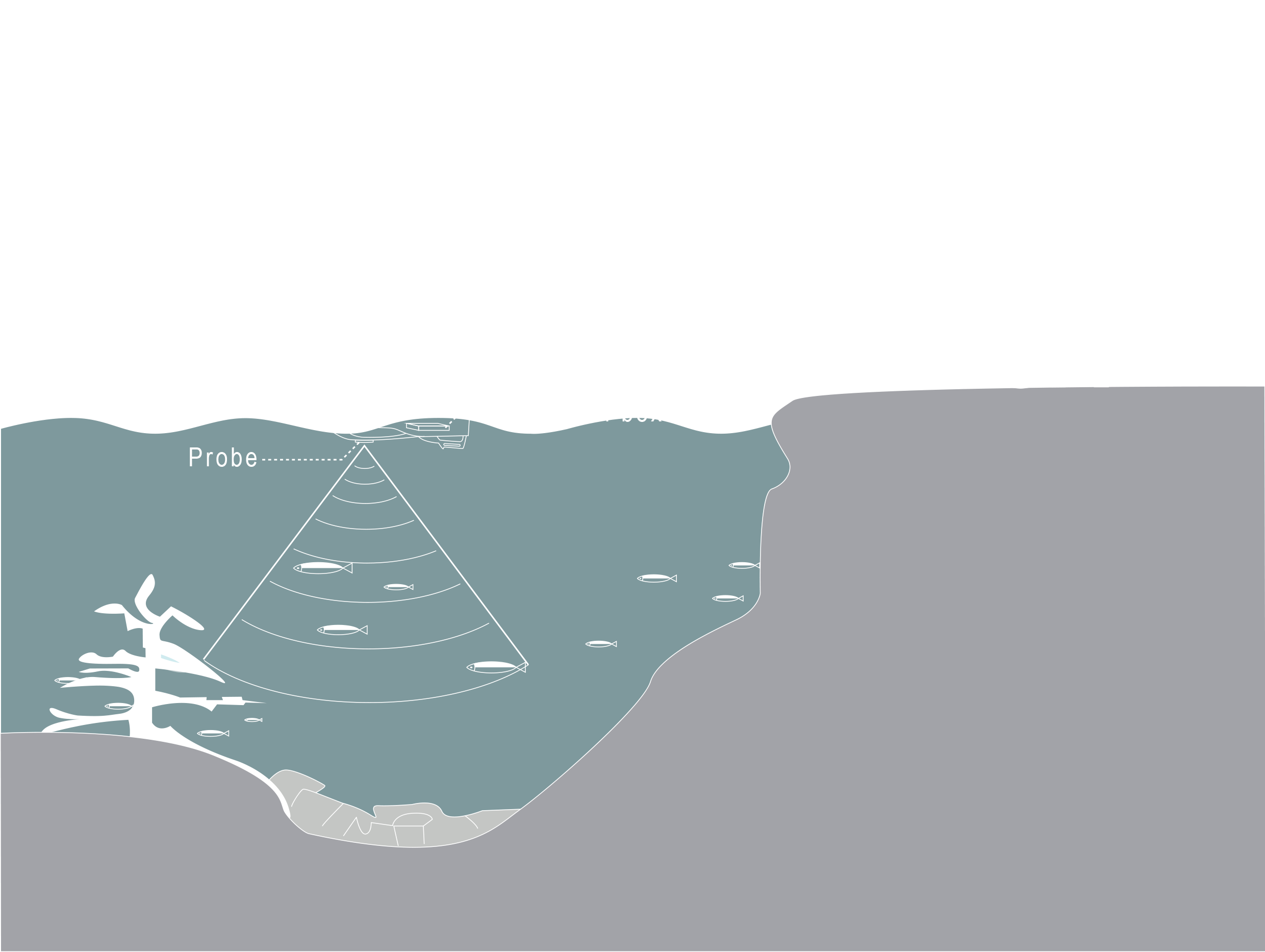 鱼饵船+gps（Bait boat with fish finder and GPS）