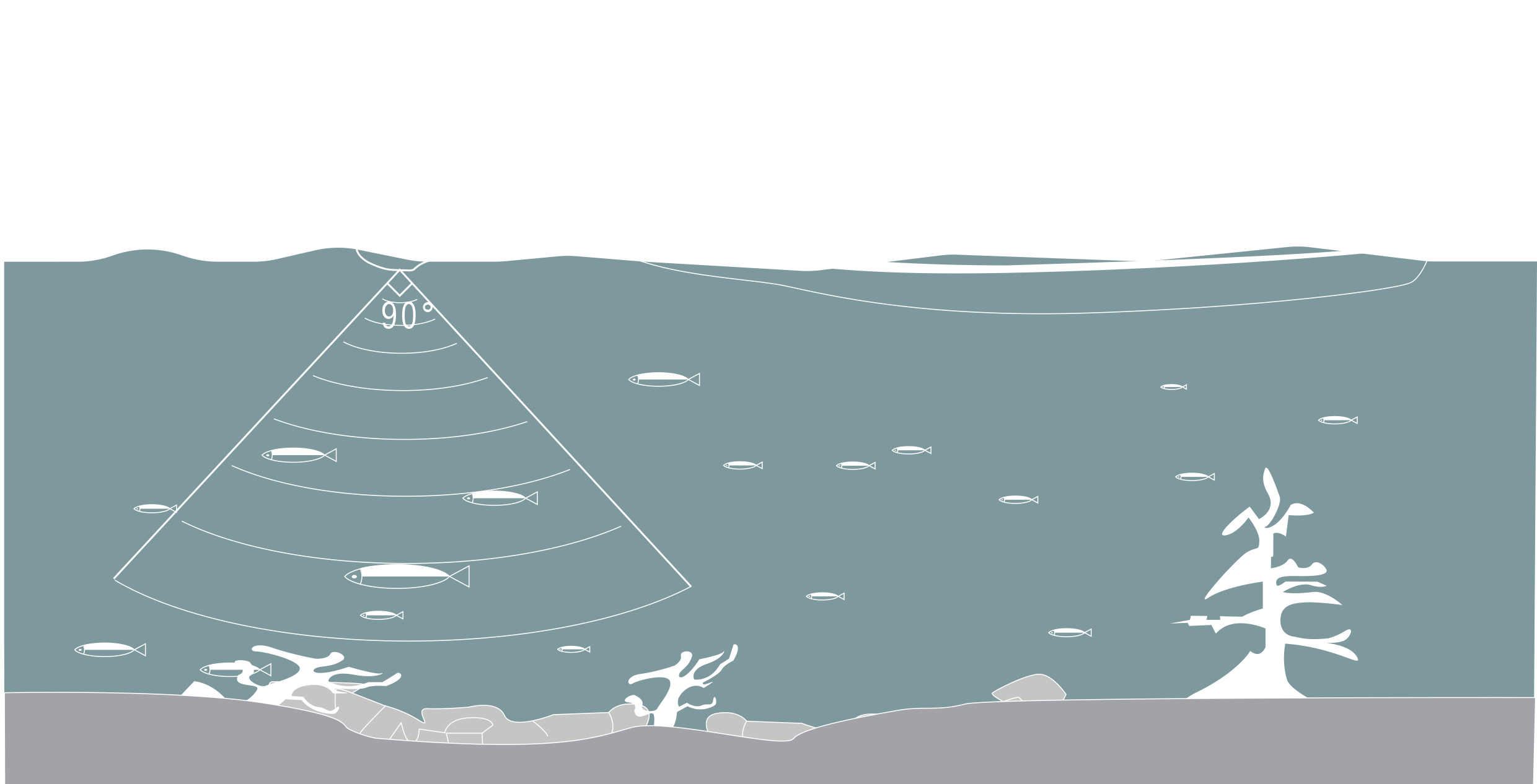 船钓无线（Boat fishing with wireless fish finder ）